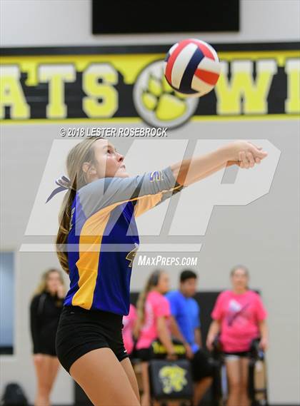Thumbnail 1 in Bloomington vs Louise (Yorktown South Texas Showdown) photogallery.