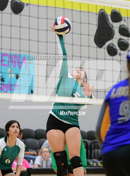 Thumbnail 1 in Bloomington vs Louise (Yorktown South Texas Showdown) photogallery.