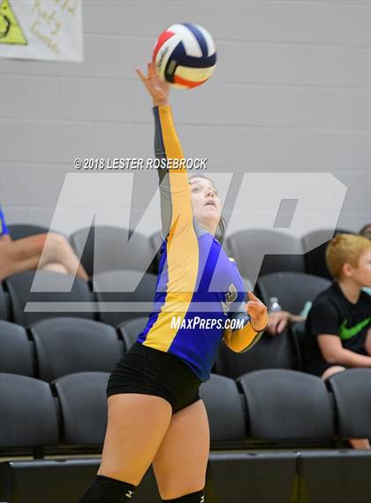 Thumbnail 2 in Bloomington vs Louise (Yorktown South Texas Showdown) photogallery.