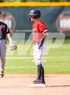 Photo from the gallery "American Fork vs. Weber (UHSAA 6A Super Regionals)"