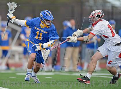 Thumbnail 1 in West Islip @ Connetquot photogallery.