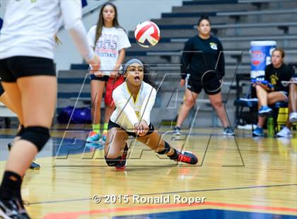Thumbnail 3 in Sachse vs. Garland photogallery.