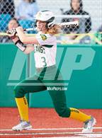 Photo from the gallery "Terra Linda @ San Marin"