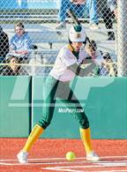 Photo from the gallery "Terra Linda @ San Marin"