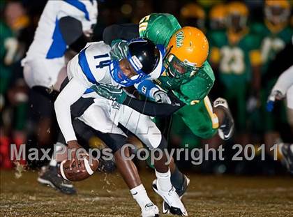 Thumbnail 3 in First Coast @ White photogallery.