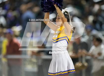 Thumbnail 3 in Glenn @ Norwalk photogallery.