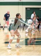 Photo from the gallery "Birch Run @ Notre Dame Prep"