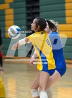 Photo from the gallery "Birch Run @ Notre Dame Prep"