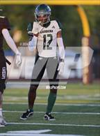 Photo from the gallery "Gardena @ Crespi"