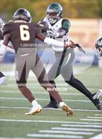 Photo from the gallery "Gardena @ Crespi"