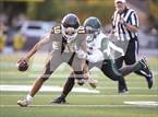 Photo from the gallery "Gardena @ Crespi"