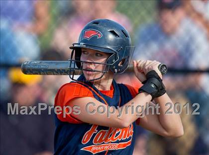 Thumbnail 2 in Briar Woods vs Woodgrove (Region II Championship) photogallery.