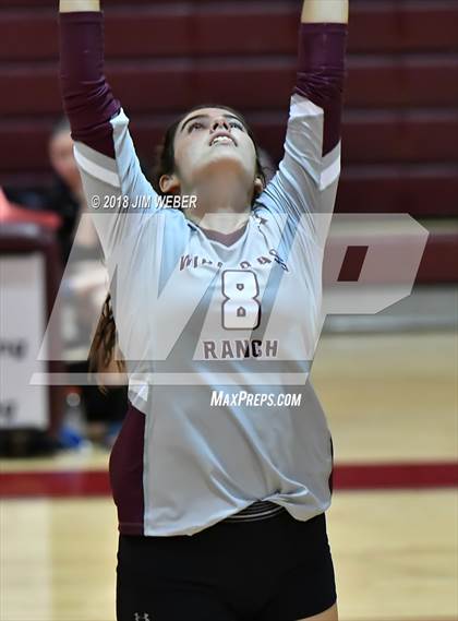Thumbnail 1 in Pasco @ Wiregrass Ranch photogallery.