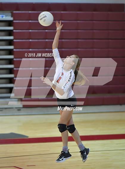 Thumbnail 3 in Pasco @ Wiregrass Ranch photogallery.