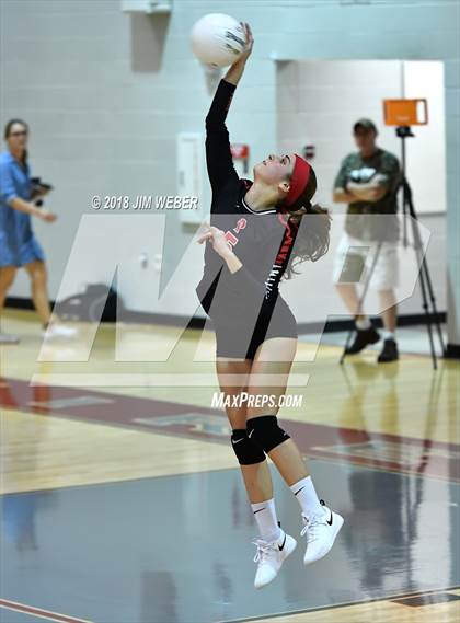 Thumbnail 3 in Pasco @ Wiregrass Ranch photogallery.