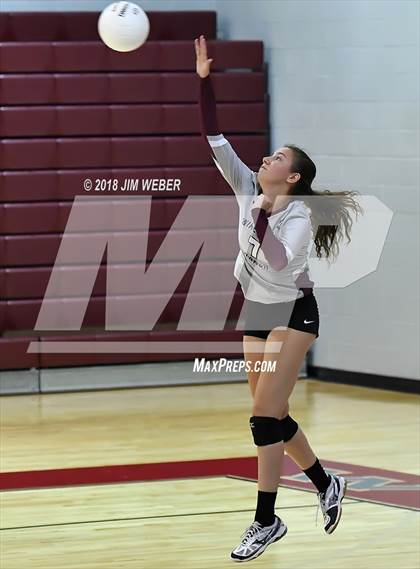 Thumbnail 3 in Pasco @ Wiregrass Ranch photogallery.