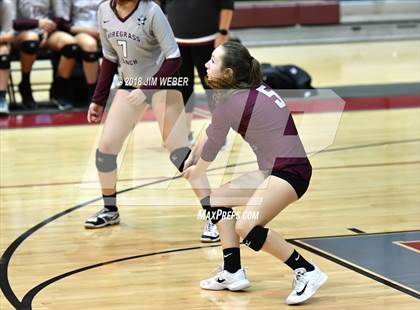 Thumbnail 3 in Pasco @ Wiregrass Ranch photogallery.