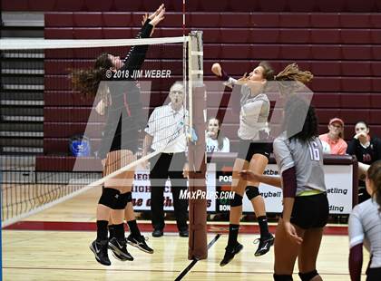 Thumbnail 3 in Pasco @ Wiregrass Ranch photogallery.