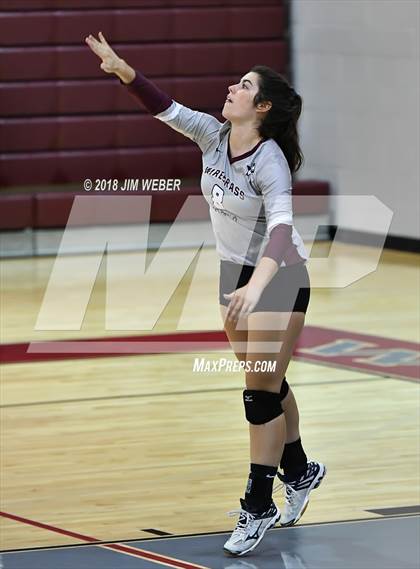 Thumbnail 2 in Pasco @ Wiregrass Ranch photogallery.