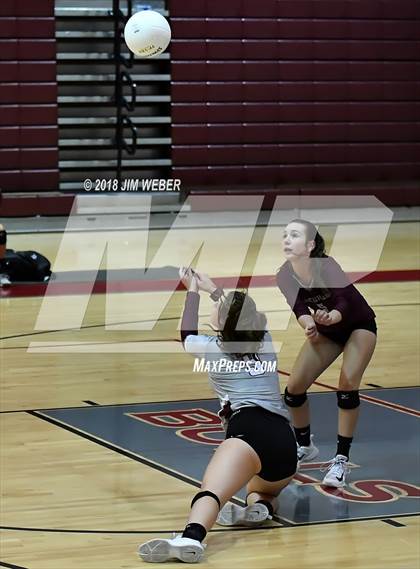 Thumbnail 3 in Pasco @ Wiregrass Ranch photogallery.