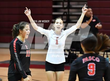 Thumbnail 2 in Pasco @ Wiregrass Ranch photogallery.