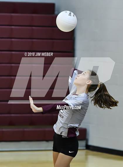 Thumbnail 2 in Pasco @ Wiregrass Ranch photogallery.