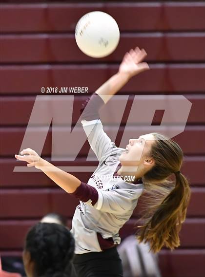 Thumbnail 3 in Pasco @ Wiregrass Ranch photogallery.