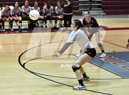 Thumbnail 2 in Pasco @ Wiregrass Ranch photogallery.