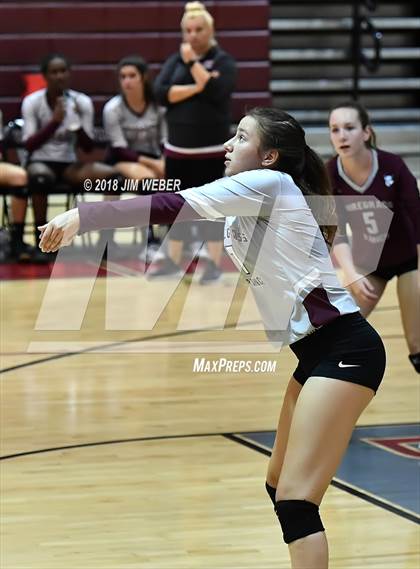 Thumbnail 1 in Pasco @ Wiregrass Ranch photogallery.