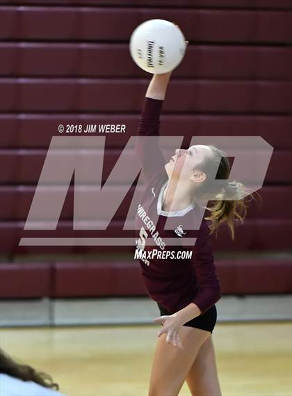 Thumbnail 3 in Pasco @ Wiregrass Ranch photogallery.
