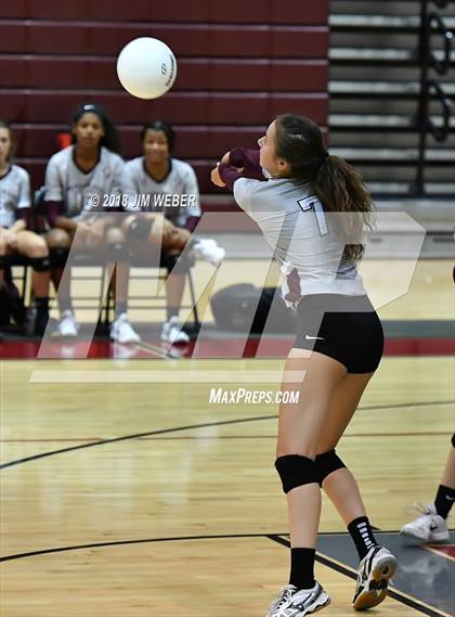Thumbnail 2 in Pasco @ Wiregrass Ranch photogallery.