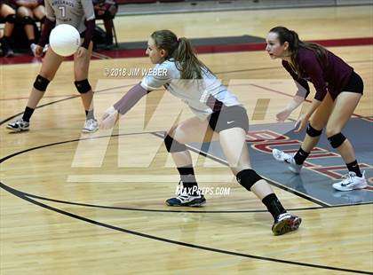 Thumbnail 3 in Pasco @ Wiregrass Ranch photogallery.