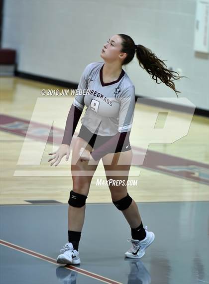 Thumbnail 2 in Pasco @ Wiregrass Ranch photogallery.