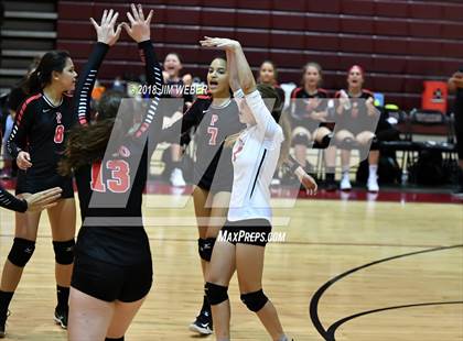 Thumbnail 3 in Pasco @ Wiregrass Ranch photogallery.