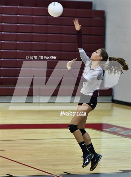 Thumbnail 3 in Pasco @ Wiregrass Ranch photogallery.