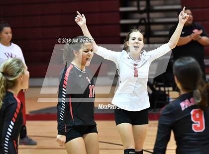Thumbnail 3 in Pasco @ Wiregrass Ranch photogallery.