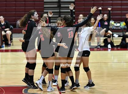 Thumbnail 1 in Pasco @ Wiregrass Ranch photogallery.