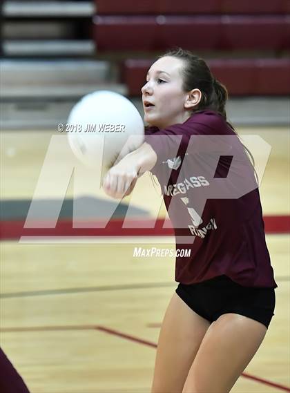 Thumbnail 1 in Pasco @ Wiregrass Ranch photogallery.
