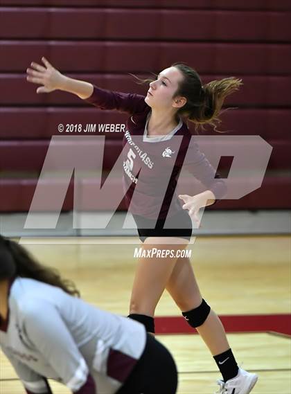 Thumbnail 1 in Pasco @ Wiregrass Ranch photogallery.