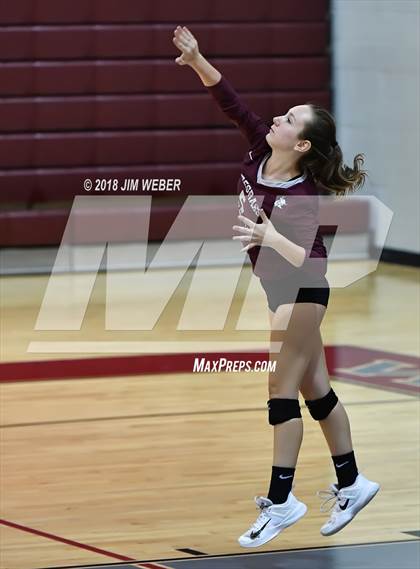 Thumbnail 2 in Pasco @ Wiregrass Ranch photogallery.