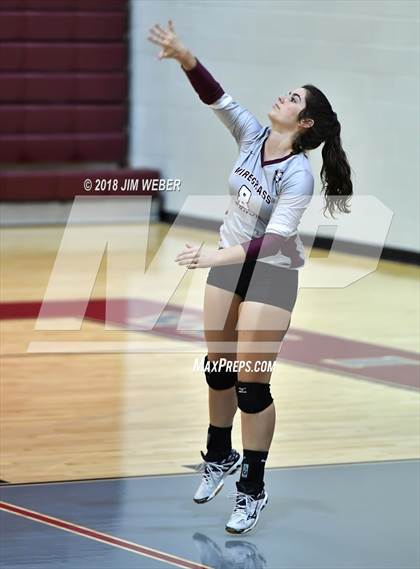 Thumbnail 3 in Pasco @ Wiregrass Ranch photogallery.