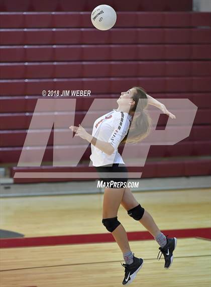Thumbnail 2 in Pasco @ Wiregrass Ranch photogallery.