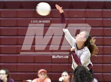 Thumbnail 3 in Pasco @ Wiregrass Ranch photogallery.