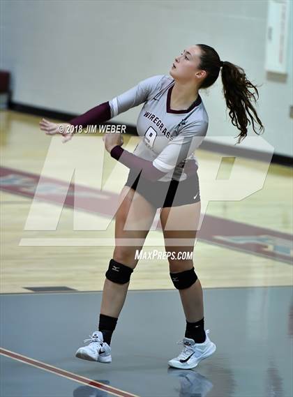 Thumbnail 1 in Pasco @ Wiregrass Ranch photogallery.