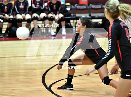Thumbnail 2 in Pasco @ Wiregrass Ranch photogallery.