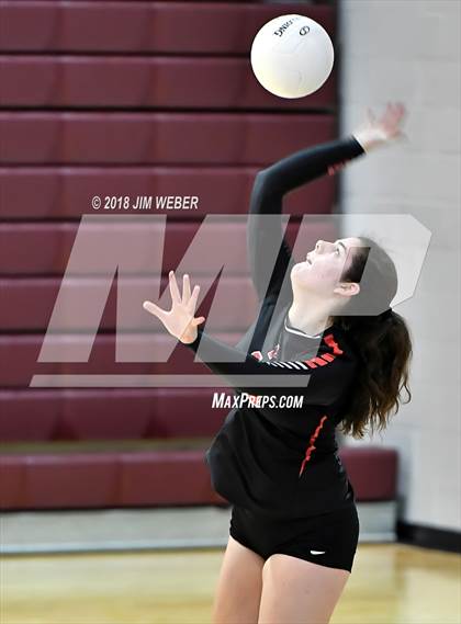 Thumbnail 1 in Pasco @ Wiregrass Ranch photogallery.