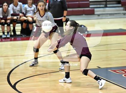 Thumbnail 2 in Pasco @ Wiregrass Ranch photogallery.