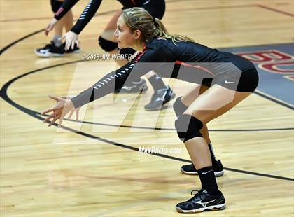 Thumbnail 2 in Pasco @ Wiregrass Ranch photogallery.