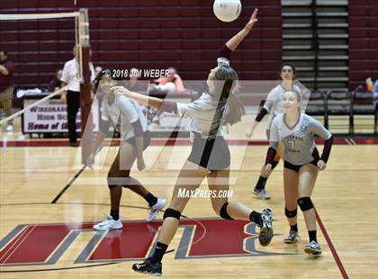 Thumbnail 3 in Pasco @ Wiregrass Ranch photogallery.