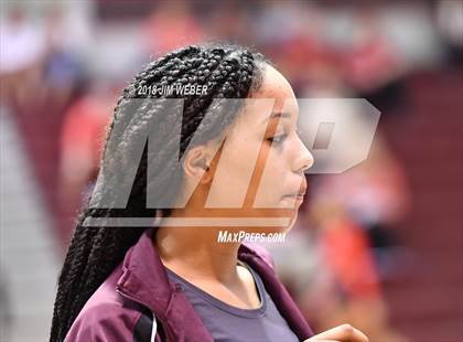 Thumbnail 2 in Pasco @ Wiregrass Ranch photogallery.